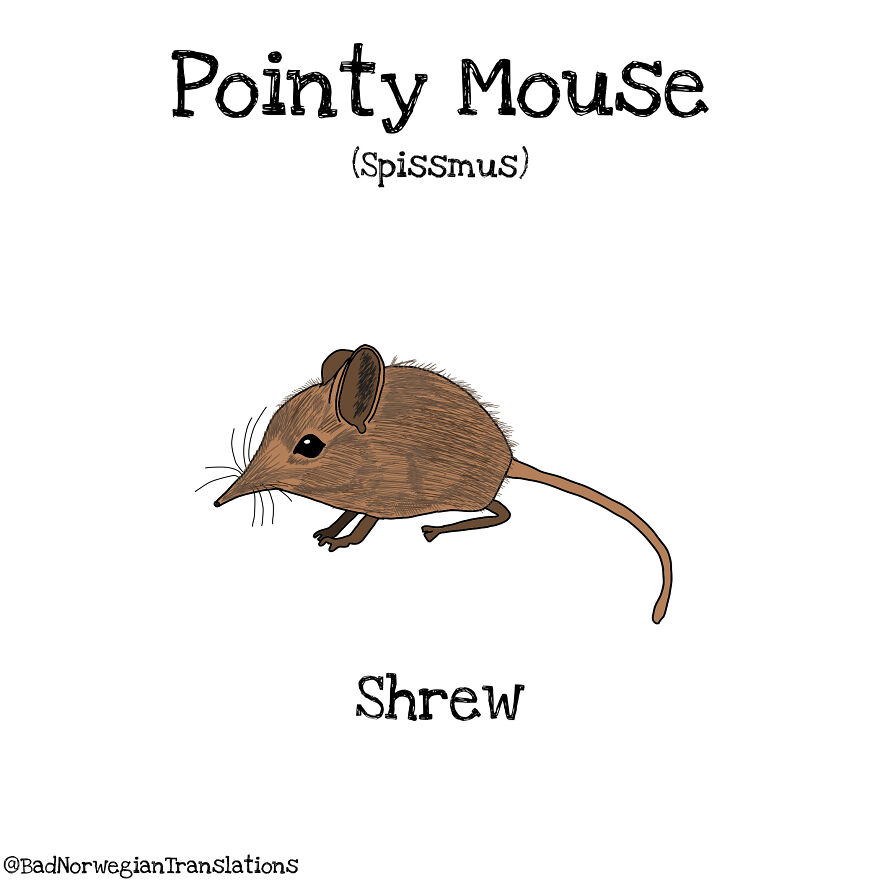 The Simplicity Of The Norwegian Language