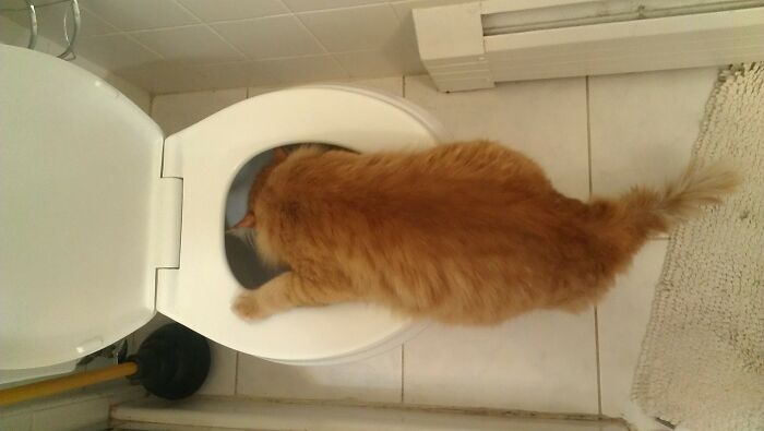 Twas A Rough Night...