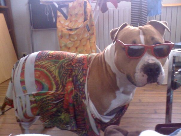 Not A Costume, That Was His Daily Outfit.