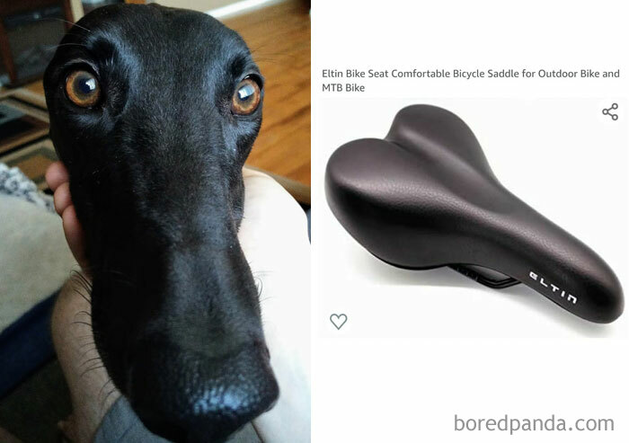 The Resemblance Is Uncanny