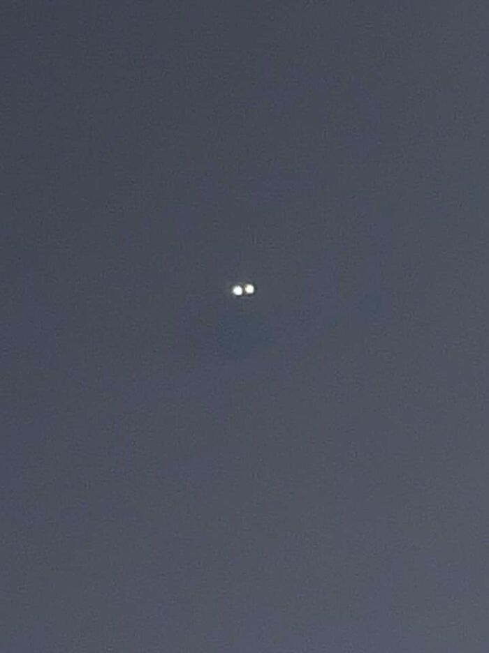 Managed To Snap This Shot Of What I Believe To Be A Bobcat