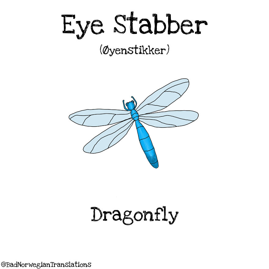 The Simplicity Of The Norwegian Language