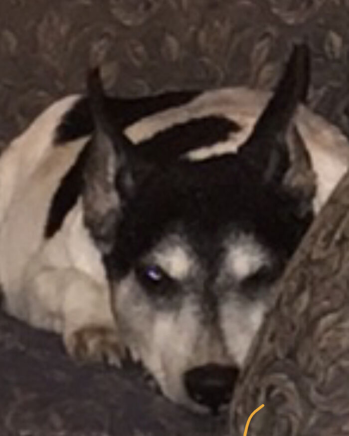 Put Himself In Timeout