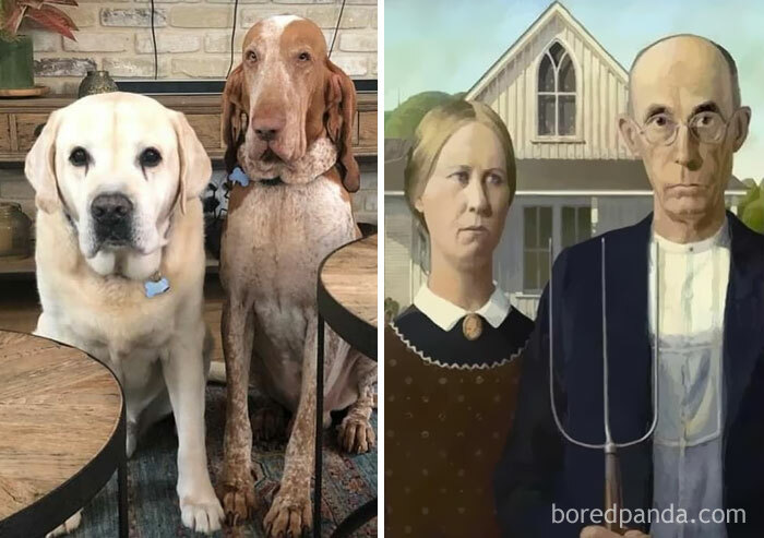 It's The Expressions For Me