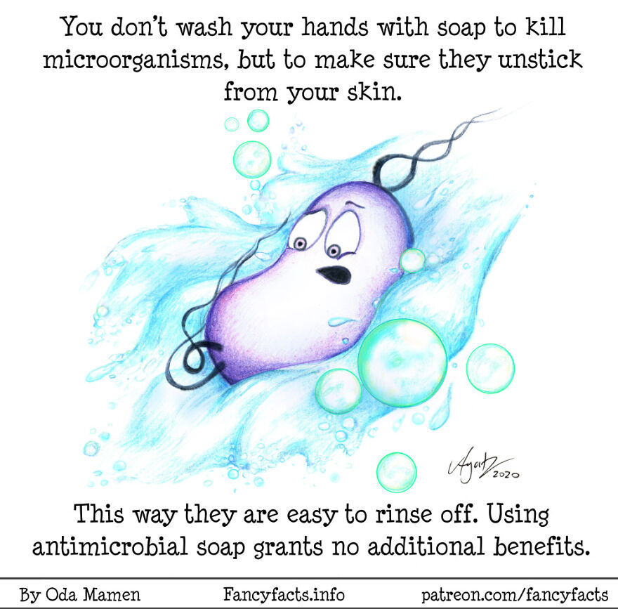 Wash Your Hands