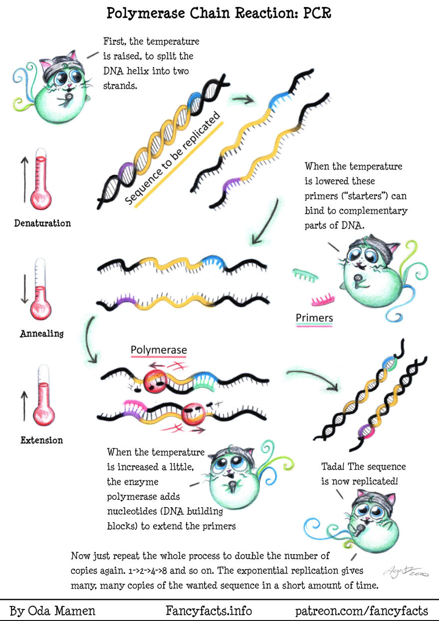PCR