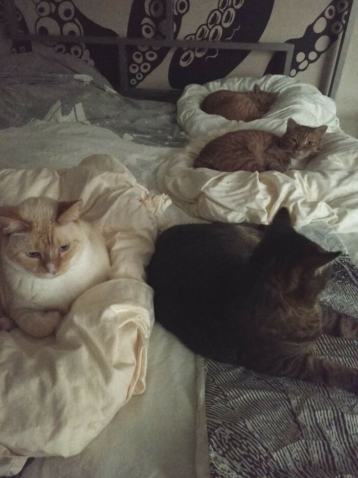 In Florida We Call This A Cat 4 Cold Front