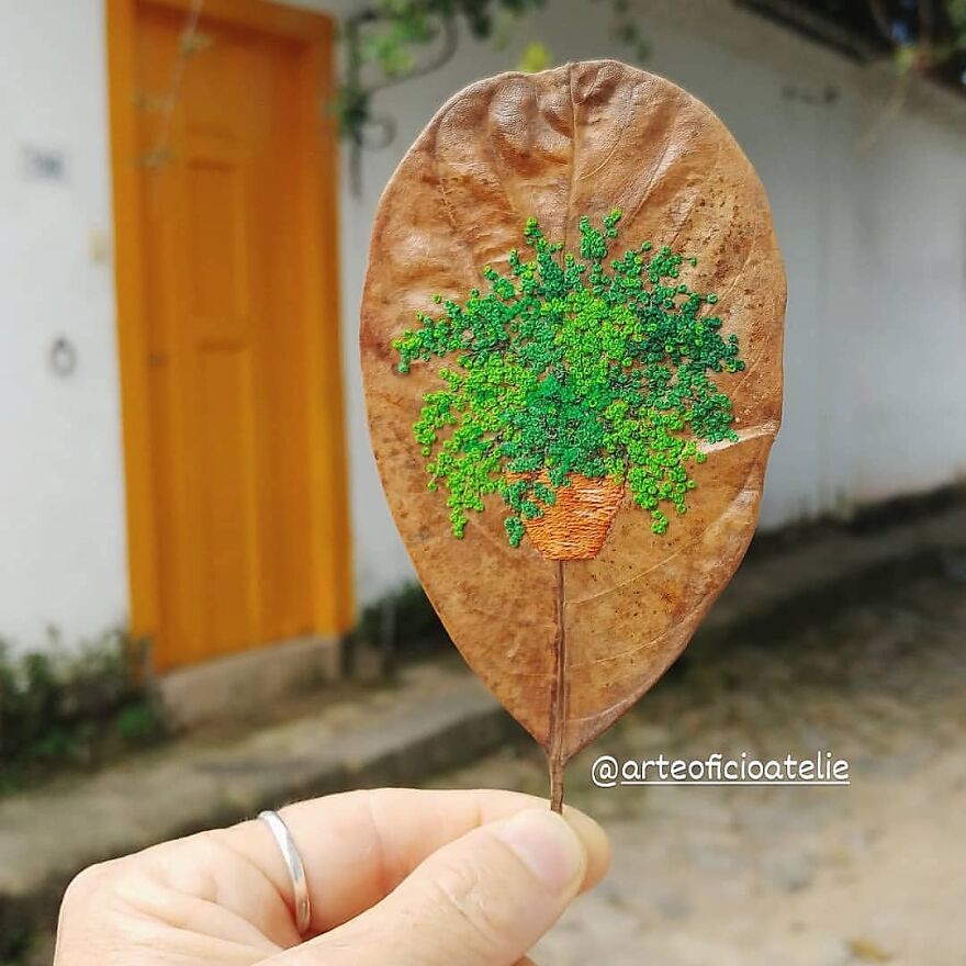 What Nature Discards, This Brazilian Artist Takes The Opportunity To Beautify Life