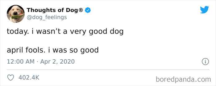 Hilarious-Dog-Thoughts-Tweets