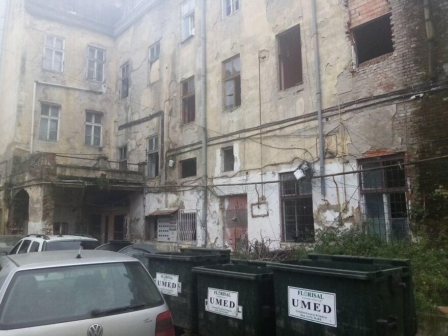 My Sister And I Started A Rescue Shelter And Rescued Over 200 Cats In 3 Years (12 Pics) My Sister And I Started A Rescue Shelter And Rescued Over 200 Cats In 3 Years (12 Pics)