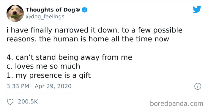Hilarious-Dog-Thoughts-Tweets