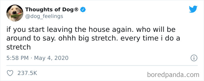 Hilarious-Dog-Thoughts-Tweets