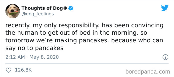 Hilarious-Dog-Thoughts-Tweets