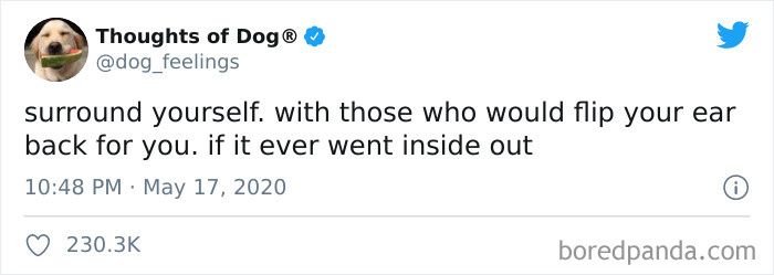 Hilarious-Dog-Thoughts-Tweets