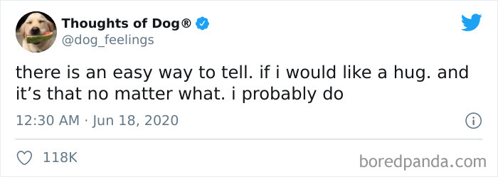 Hilarious-Dog-Thoughts-Tweets