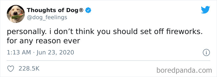 Hilarious-Dog-Thoughts-Tweets