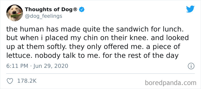 Hilarious-Dog-Thoughts-Tweets