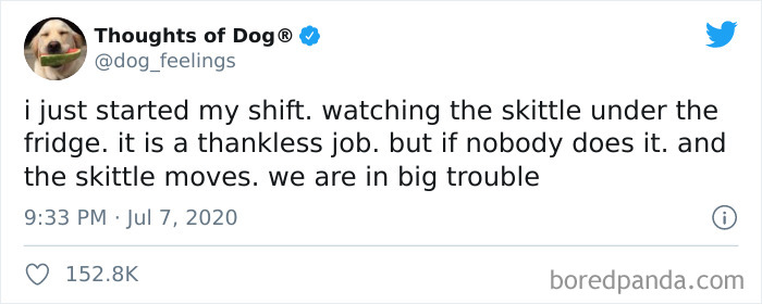 Hilarious-Dog-Thoughts-Tweets