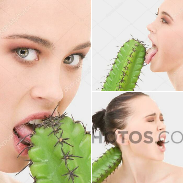 How To Properly Censor A Dingdingdong