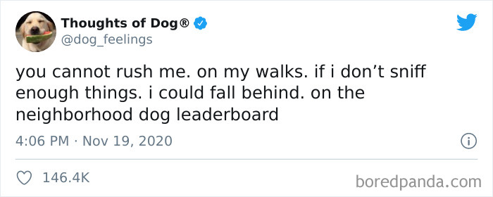 Hilarious-Dog-Thoughts-Tweets