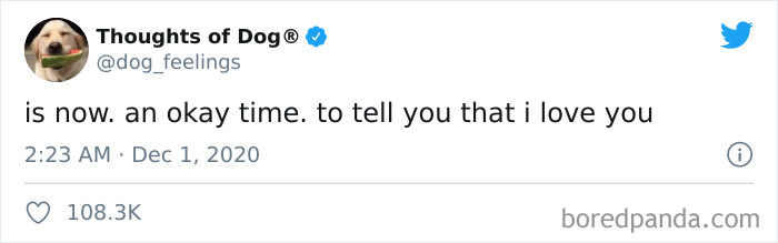 Hilarious-Dog-Thoughts-Tweets