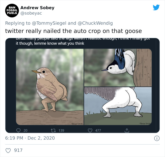 People 'Criticized' How This Artist Drew Bird Legs, So He Trolled Them By "Fixing" The Legs