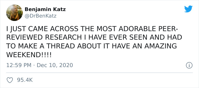 Researchers Try To Identify How Dogs Recognize Each Other, But Their Work Goes Viral For How Cute It Is