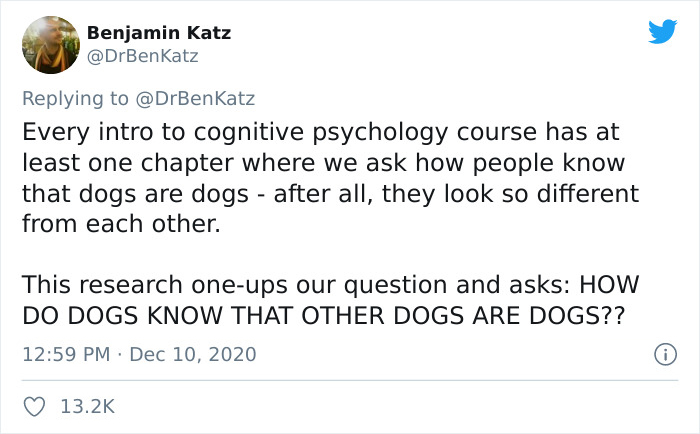 Researchers Try To Identify How Dogs Recognize Each Other, But Their Work Goes Viral For How Cute It Is