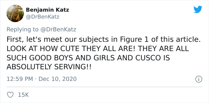 Researchers Try To Identify How Dogs Recognize Each Other, But Their Work Goes Viral For How Cute It Is