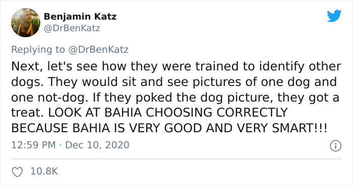 Researchers Try To Identify How Dogs Recognize Each Other, But Their Work Goes Viral For How Cute It Is Researchers Try To Identify How Dogs Recognize Each Other, But Their Work Goes Viral For How Cute It Is