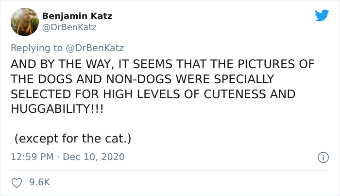 Researchers Try To Identify How Dogs Recognize Each Other, But Their Work Goes Viral For How Cute It Is Researchers Try To Identify How Dogs Recognize Each Other, But Their Work Goes Viral For How Cute It Is