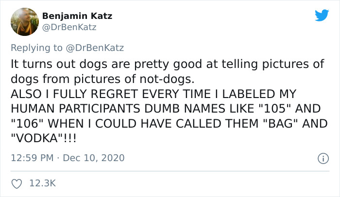 Researchers Try To Identify How Dogs Recognize Each Other, But Their Work Goes Viral For How Cute It Is