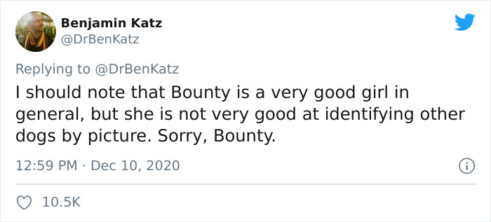 Researchers Try To Identify How Dogs Recognize Each Other, But Their Work Goes Viral For How Cute It Is