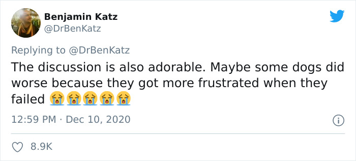 Researchers Try To Identify How Dogs Recognize Each Other, But Their Work Goes Viral For How Cute It Is Researchers Try To Identify How Dogs Recognize Each Other, But Their Work Goes Viral For How Cute It Is