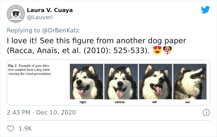 Researchers Try To Identify How Dogs Recognize Each Other, But Their Work Goes Viral For How Cute It Is Researchers Try To Identify How Dogs Recognize Each Other, But Their Work Goes Viral For How Cute It Is
