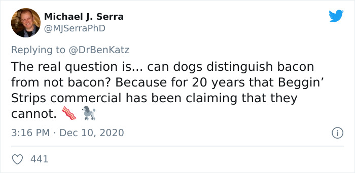 Researchers Try To Identify How Dogs Recognize Each Other, But Their Work Goes Viral For How Cute It Is