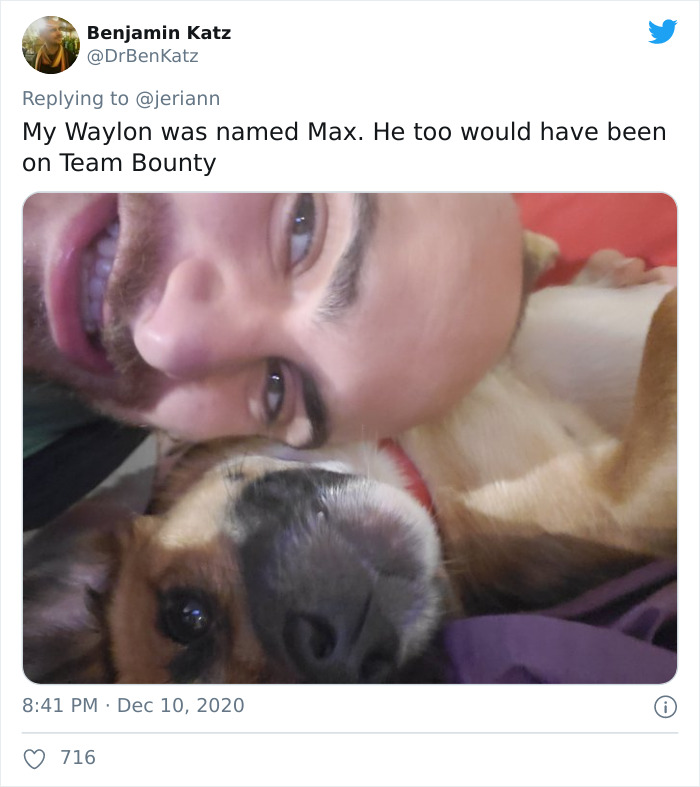 Researchers Try To Identify How Dogs Recognize Each Other, But Their Work Goes Viral For How Cute It Is