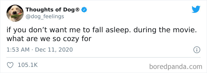 Hilarious-Dog-Thoughts-Tweets