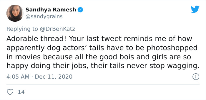 Researchers Try To Identify How Dogs Recognize Each Other, But Their Work Goes Viral For How Cute It Is Researchers Try To Identify How Dogs Recognize Each Other, But Their Work Goes Viral For How Cute It Is