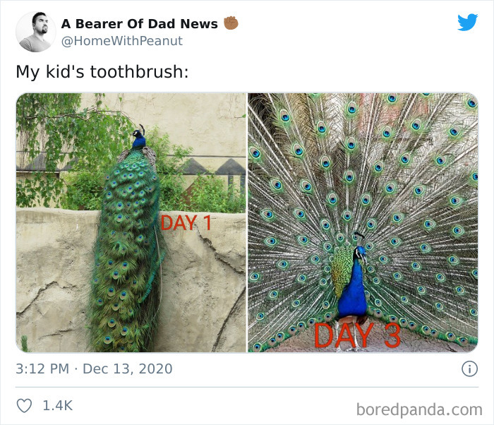 Funny-Parenting-Tweets-December