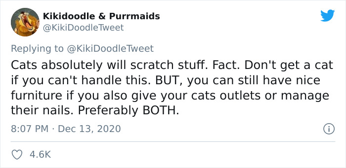 Person Shares How To Have Nice Furniture And A Happy Cat Instead Of Declawing It Person Shares How To Have Nice Furniture And A Happy Cat Instead Of Declawing It