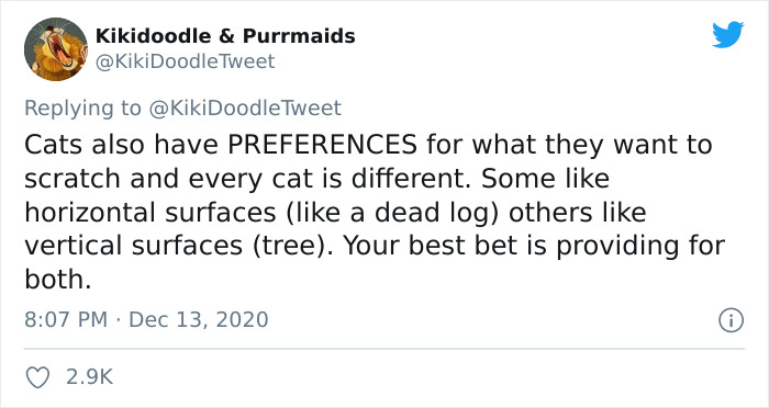 Person Shares How To Have Nice Furniture And A Happy Cat Instead Of Declawing It Person Shares How To Have Nice Furniture And A Happy Cat Instead Of Declawing It