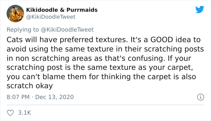 Person Shares How To Have Nice Furniture And A Happy Cat Instead Of Declawing It