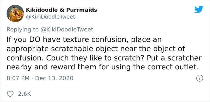 Person Shares How To Have Nice Furniture And A Happy Cat Instead Of Declawing It