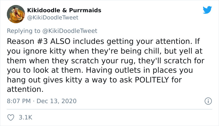 Person Shares How To Have Nice Furniture And A Happy Cat Instead Of Declawing It