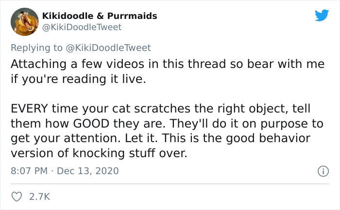 Person Shares How To Have Nice Furniture And A Happy Cat Instead Of Declawing It