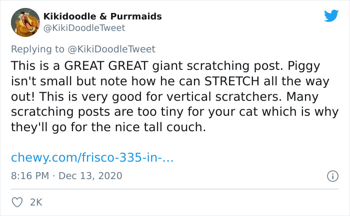 Person Shares How To Have Nice Furniture And A Happy Cat Instead Of Declawing It Person Shares How To Have Nice Furniture And A Happy Cat Instead Of Declawing It