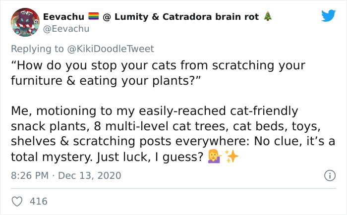 Person Shares How To Have Nice Furniture And A Happy Cat Instead Of Declawing It Person Shares How To Have Nice Furniture And A Happy Cat Instead Of Declawing It