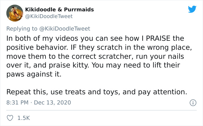 Person Shares How To Have Nice Furniture And A Happy Cat Instead Of Declawing It