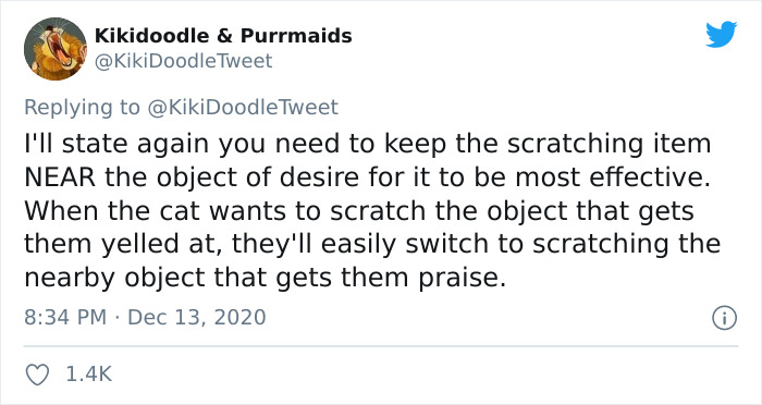 Person Shares How To Have Nice Furniture And A Happy Cat Instead Of Declawing It Person Shares How To Have Nice Furniture And A Happy Cat Instead Of Declawing It